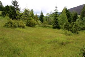 pohľad na najzachovalejšiu časť lokality.